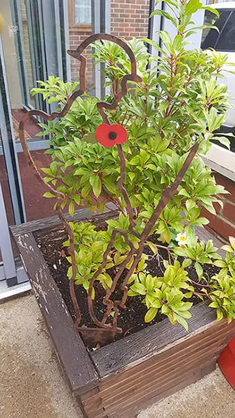 Maidstone Care Centre’s (Maidstone) Garden Tommy taking pride of place in front of the care home.